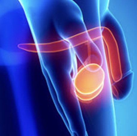 Enfermedades del Pene