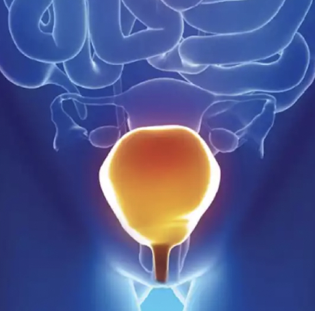 Enfermedades de la Vejiga