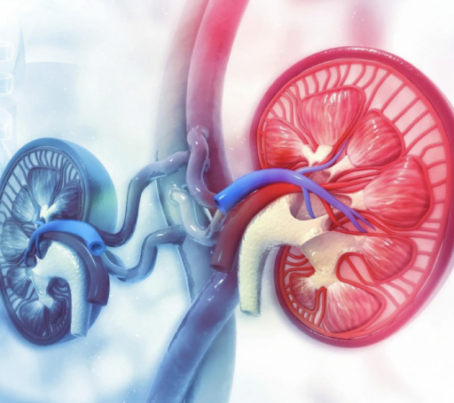 Enfermedades del Riñón